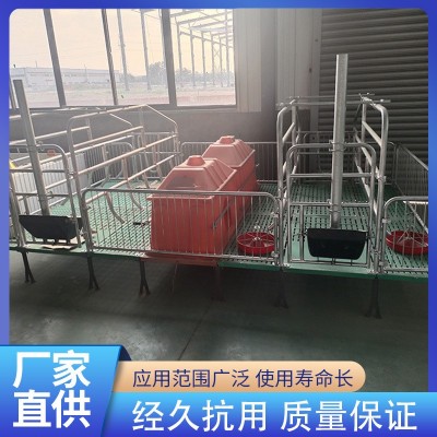 养猪设备复合母猪产床仔猪双体保育床 双体母猪产床定位栏批发图2