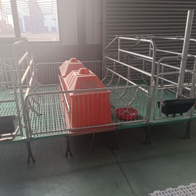养猪设备复合母猪产床仔猪双体保育床 双体母猪产床定位栏批发图1