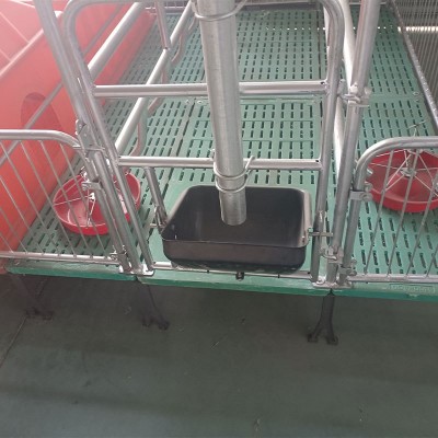 养猪设备复合母猪产床仔猪双体保育床 双体母猪产床定位栏批发图3