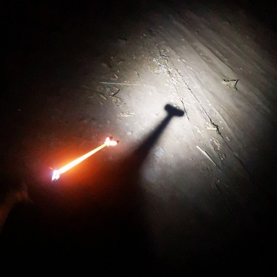 厂家供应电动赶猪器电子赶猪棒电猪器赶猪棍电击棒撵猪器驱猪设备图3