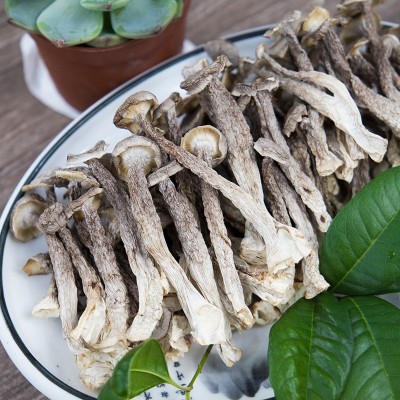 鹿茸菇干货鹿茸菌特鹿茸菇煲汤级食用菌菇野蘑菇香菇源头厂家批发图3