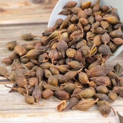 中药连翘 伏牛山特产正品带籽连翘茶秋冬常用新鲜干货包邮图3