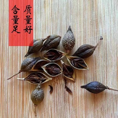 中药连翘 伏牛山特产正品带籽连翘茶秋冬常用新鲜干货包邮图4