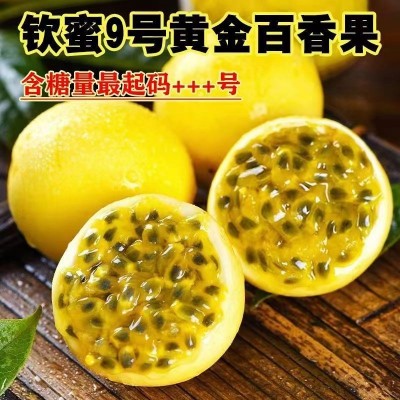 钦蜜9号百香果黄金蜜百香果1/2/3/5/9斤装广西水果源产地极速发图4