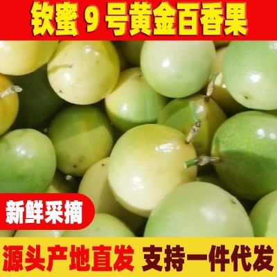 钦蜜9号百香果黄金蜜百香果1/2/3/5/9斤装水果广西源产地极速发货图1