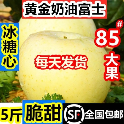 烟台黄金奶油富士苹果糖心当季整箱山东栖霞白苹果礼品盒 一件代发图2