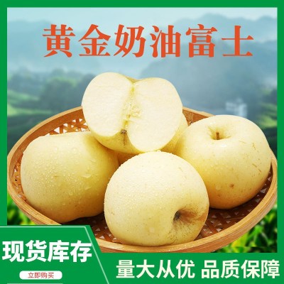 烟台奶油富士苹果脆甜新鲜水果栖霞牛奶苹果批发图1