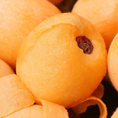 枇杷米易攀枝花四川应季新鲜现货批发代发水果现摘现发果园直采甜图1