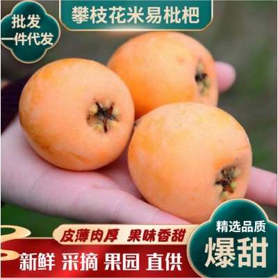 枇杷米易攀枝花四川应季新鲜现货批发代发水果现摘现发果园直采甜图4