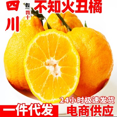 四川丑橘不知火一件代发丑柑整丑桔子柑橘非耙耙柑水果批发箱包邮图1