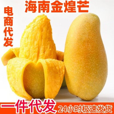 海南金煌芒果一件代发金煌芒新鲜芒果水果代发批产地现摘直发包邮图1