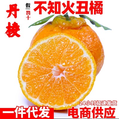 四川不知火丑橘代发丑柑丑桔子非耙耙柑橘水果一件代发整箱包邮图1