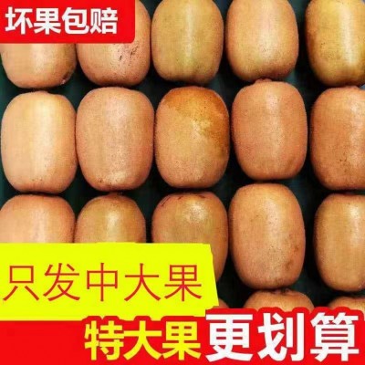 四川蒲江黄金奇异果黄心猕猴桃产地现摘现发新鲜孕妇水果图1