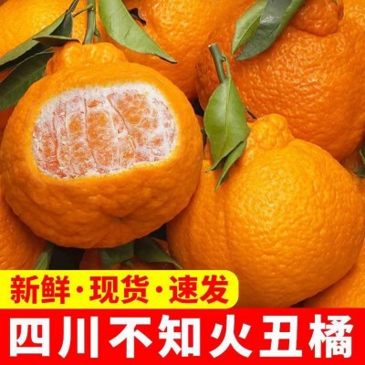 四川不知火丑橘 当季新鲜孕妇水果 产地现摘现发整箱包邮一件代发图1