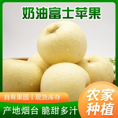 新鲜水果批发代发山东烟台黄金奶油富士奶油苹果当季冰糖心爆汁图5