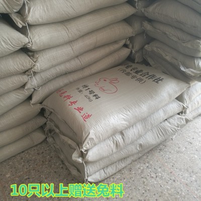 先养后结账 免费教新西兰种兔养殖技术欢迎咨询伊拉兔苗价格图4