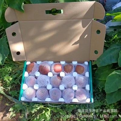 【已停售盐源冰糖心苹果丑苹果】当季新鲜水果礼盒装整箱10斤苹果图2