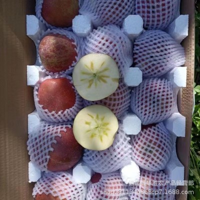 【已停售盐源冰糖心苹果丑苹果】当季新鲜水果礼盒装整箱10斤苹果图1