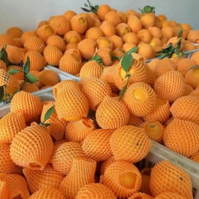 湖北秭归伦晚脐橙新鲜春橙孕妇水果现摘应季水果直供一件代发包邮图4