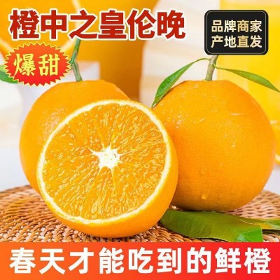 湖北秭归伦晚脐橙新鲜春橙孕妇水果现摘应季水果直供一件代发包邮图1