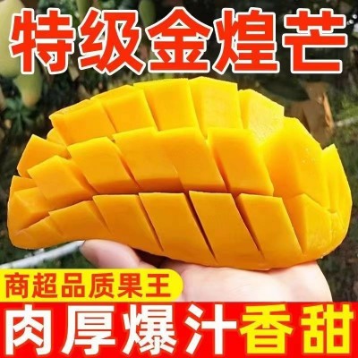 海南三亚树上熟金煌芒芒果当季孕妇水果现摘现发新鲜芒果一件代发图1