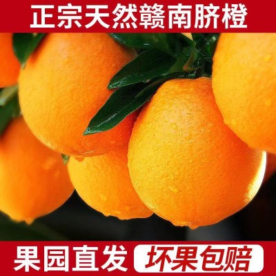 赣南脐橙5斤10斤20斤装春节礼盒装现摘橙子批发一件代发果园直发图2