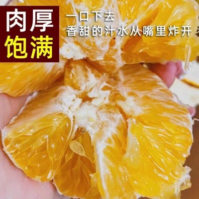 赣南脐橙5斤10斤20斤装春节礼盒装现摘橙子批发一件代发果园直发图5