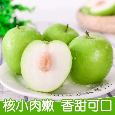 福建牛奶大青枣当季新鲜水果甜脆新鲜枣子贵妃枣冬枣整箱批发代发图1