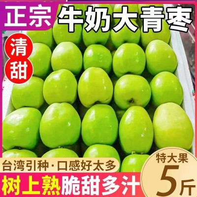 福建牛奶大青枣当季新鲜水果甜脆新鲜枣子贵妃枣冬枣整箱批发代发图5
