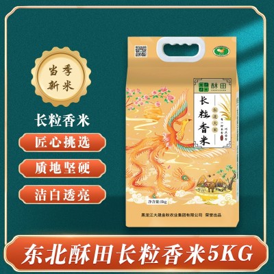 新款东北长粒米5kg农产品稻香家用真空装新大米厂家直供代发图1