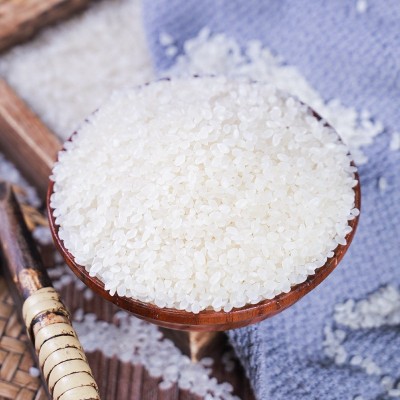 东北小町米批发5kg 25kg新米批发食堂用米会销礼品米批发图2
