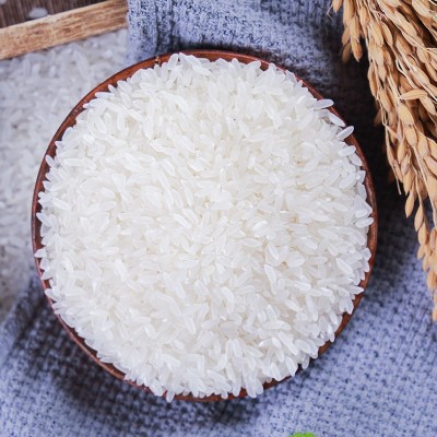 长粒香大米批发东北特产规格齐全软糯香甜食堂用米吉林大米批发图4