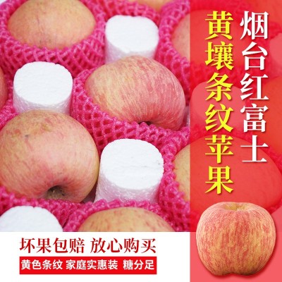 当季新鲜水果批发代发山东烟台栖霞红富士苹果5/10斤黄心条纹大果图1