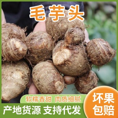 山东奶油芋头一件代发3/5斤整箱软糯牛奶香糯新鲜蔬菜小毛芋头图1