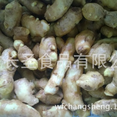 加工出口风干姜 可出口食用大姜 厂家生产销售【图】图3