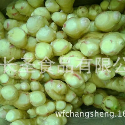 加工出口风干姜 可出口食用大姜 厂家生产销售【图】图5
