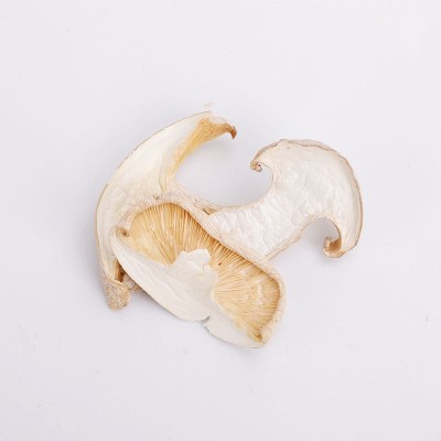 白松茸松茸干片冬松茸片雪山松茸干货煲汤食材现货直供批发图4