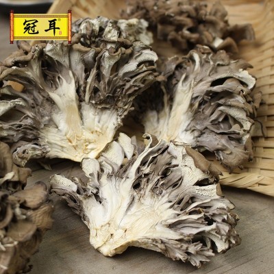 古田灰树花灰树菇干货批发千佛手菌舞茸 农家自产菌菇产地直批图2
