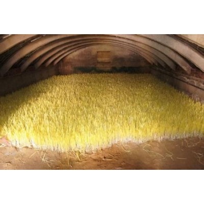 现货销售拱棚蒜黄（水黄） 物美价廉质量保障口感好蒜黄图3