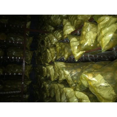 销售冷库保鲜荷兰土豆150克以上不封顶统货（马铃薯）图3