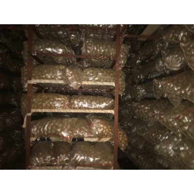 售（供）冷库保鲜小荷兰土豆50-150克、100-200克图2
