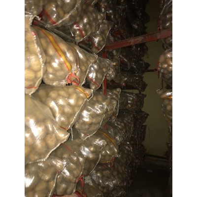 售（供）冷库保鲜小荷兰土豆50-150克、100-200克图5