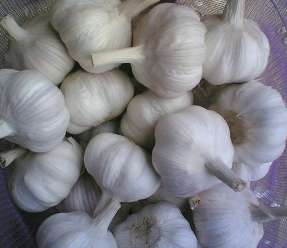 20091211155018