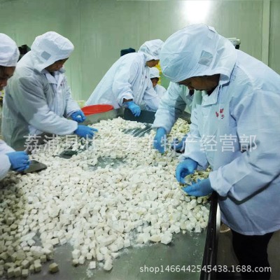 冷冻芋头块芋头肉荔浦芋头片速冻芋头甜品奶茶芋头批发图3