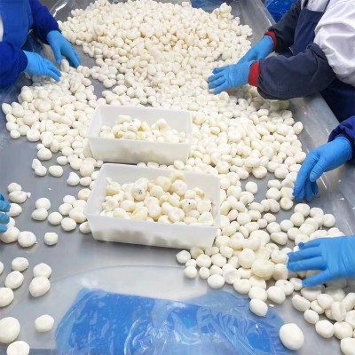 速冻马蹄粒马蹄丁荸荠饺子包子狮子头肉馅配料批发奶茶配料特优货图3