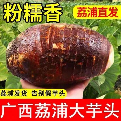 广西特产荔浦芋头整箱批发槟榔芋香芋头软粉香糯产地现摘现发图2