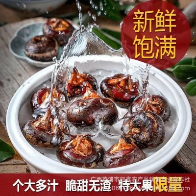广西荔浦马蹄荸荠产地新鲜现挖整箱批发价农家特产即食水果图2