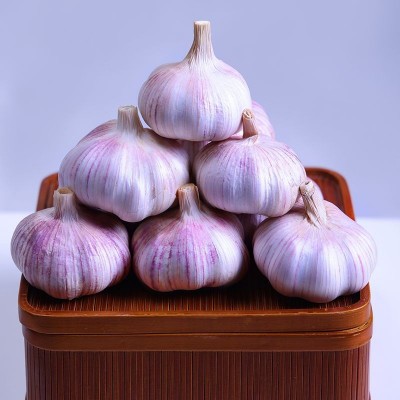 大蒜头干蒜10斤山东紫皮整箱新干蒜头紫白皮新鲜批发休闲食品包邮图2