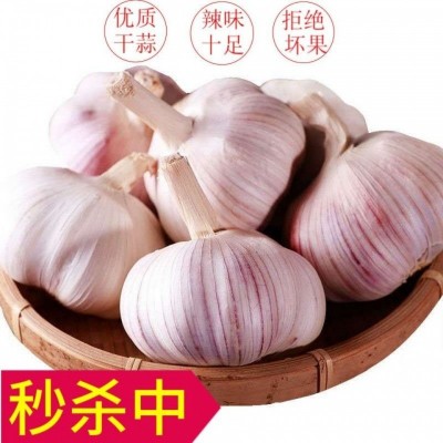 大蒜头干蒜10斤山东紫皮整箱新干蒜头紫白皮新鲜批发休闲食品包邮图5