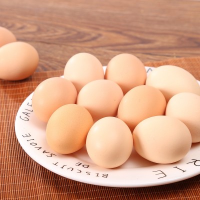 土鸡蛋草鸡蛋月子蛋无菌可生食新鲜鸡蛋无沙门氏菌蛋拌饭一件代发图2